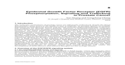 Epidermal Growth Factor Receptor Egfr Phosphorylation Pdf Document