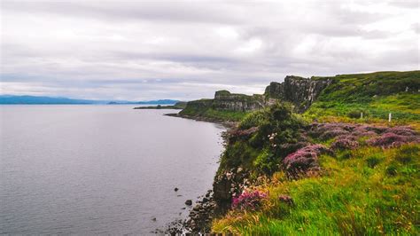 Amazing Isle Of Skye Tour Purple Heather Scottish Tours