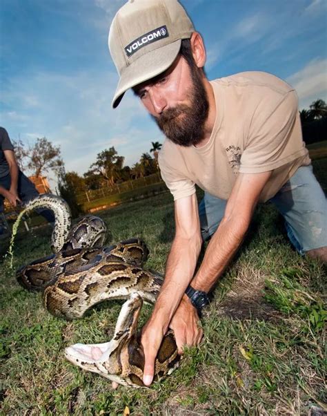 Giant 18 Foot Burmese Python Captured And It Needed Five People To