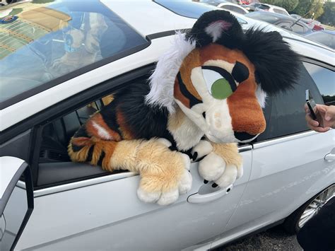 Ari 🔜 PDFC on Twitter: "i hate denver furries https://t.co/X7SefVunhJ