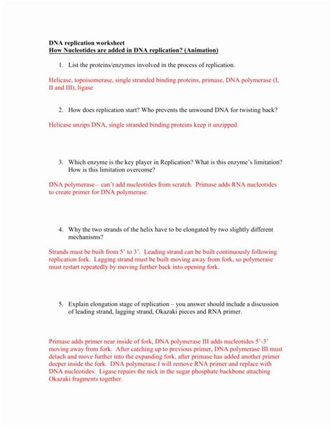 Use this to review various types of mutations. Dna Worksheet Answer - worksheet