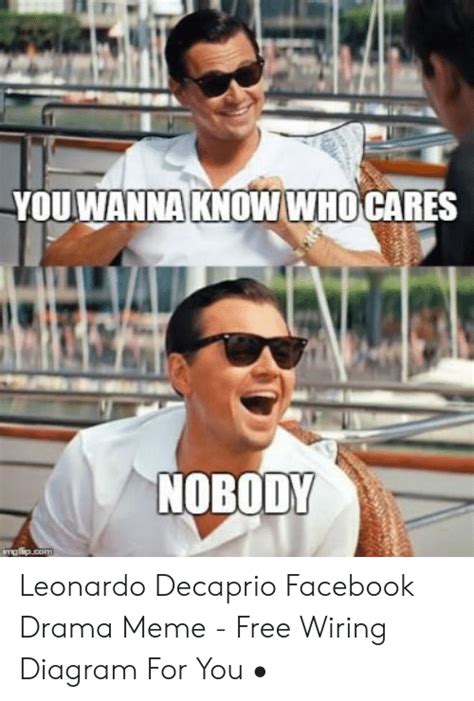 You are able to easily step up. YOU WANNA KNOW WHO CARES NOBODY Imgflipcom Leonardo Decaprio Facebook Drama Meme - Free Wiring ...