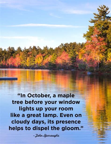 25 October Quotes Famous Sayings And Quotes About October