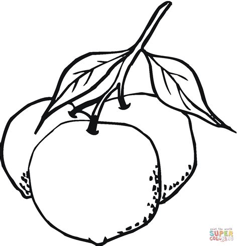 10 vegetables coloring pages for your toddler. Oranges Coloring Pages - Coloring Home