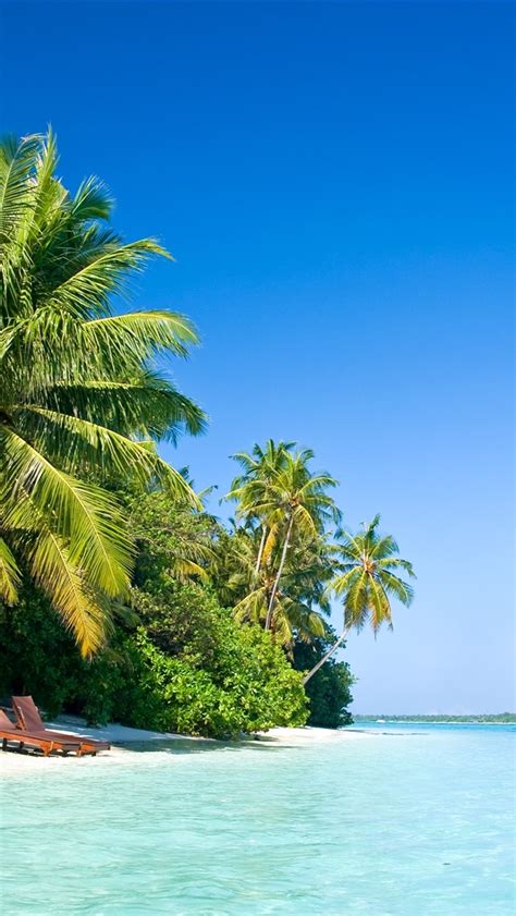 Wallpaper Maldive Palm Trees Beach Chair Sea Tropical 3840x2160