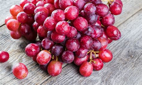 How to keep grapes fresh. Jack's Salute® Red Seedless Grapes (1kg) — MomoBud