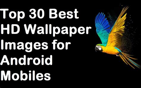 Top 30 Best Hd Wallpaper Images For Android Mobiles Gardena Pass