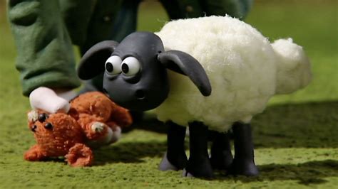 Bbc Iplayer Shaun The Sheep Series 1 4 Timmy In A Tizzy