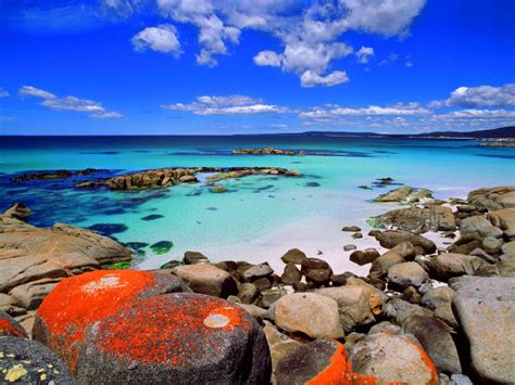 Bay Of Fires Tasmanias Most Beautiful Beaches