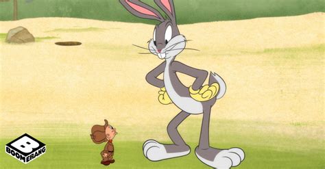 Boomerang Estreia Novos Episódios De Looney Tunes Cartoons