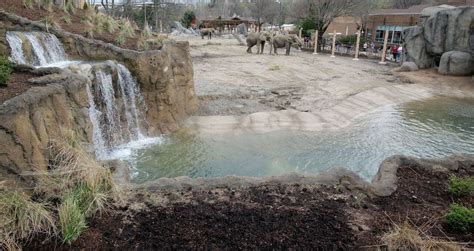 Elephants New Home Offers Room To Roam At The Metroparks Zoo