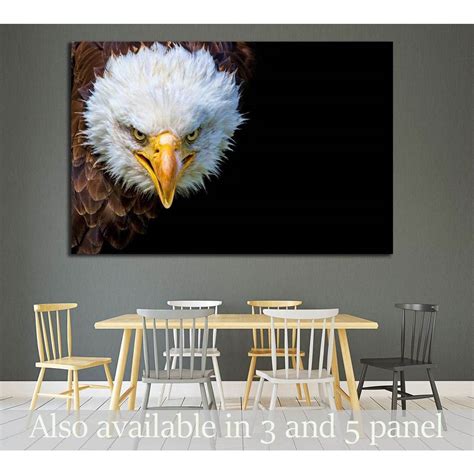 Angry North American Bald Eagle On Black Background №1863 Ready To Han