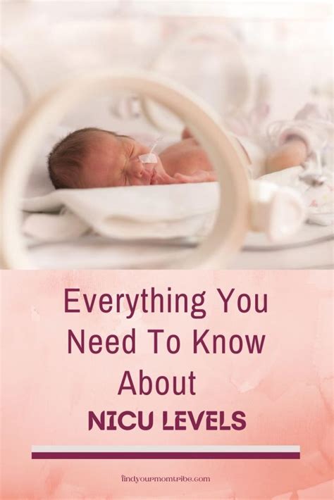 Everything You Need To Know About Nicu Levels