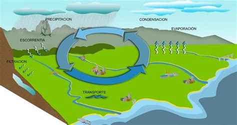 Todo Lo Que Debes Saber Sobre El Ciclo Hidrológico O Ciclo Del Agua