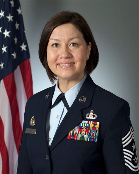 air force historical support division history chief master sergeants of the air force