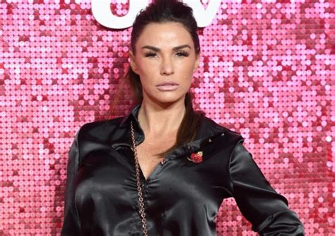 Katie Price Auditioned For Hot Nanny Role In Sex And The City 2 Metro