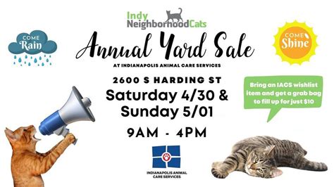 Indy Neighborhood Cats Annual Yard Sale Indianapolis Animal Care