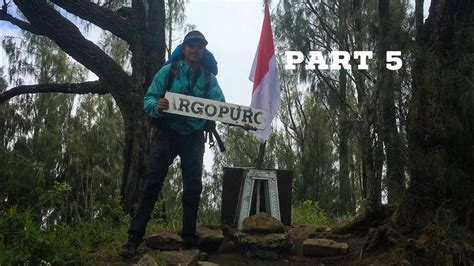 Pendakian Gunung Argopuro Youtube