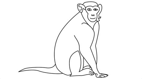 How To Draw A Monkey Step By Step 11 Easy Phase And Video