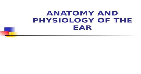 Ppt Anatomy And Physiology Of The Ear Main Components Of The Hearing