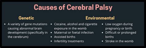 Causes And Risk Factors Of Cerebral Palsy — Dr Jeffrey Sia