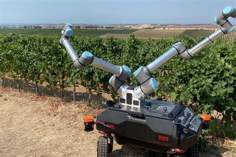 Longitud Surtido Salvar Aplicaciones De La Robotica En La Agricultura