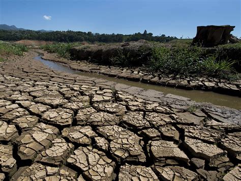 Check spelling or type a new query. Global warming prompts farmers to plant fewer crops, study ...
