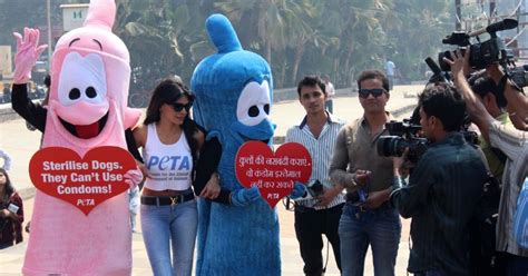 Sherlyn Chopra At Petas Safe Sex For Animals Campaign