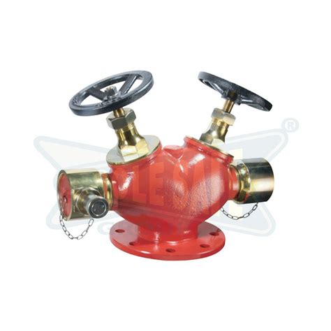 Stainless Steel Fire Fighting Double Headed Hydrant Valve Id 1704360988