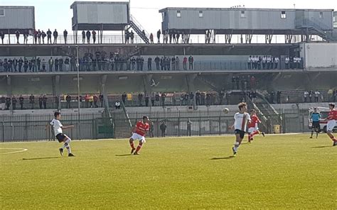 Volta, del prete, belmonte (70' dellafiore); UNDER 15, TERNANA UNICUSANO-PERUGIA 3-2 | A.C. Perugia ...