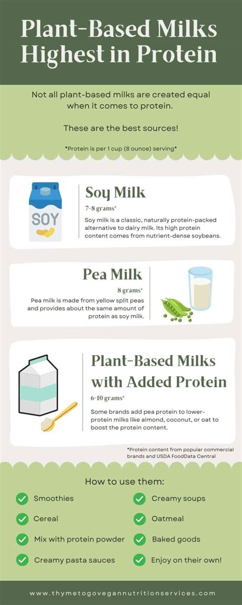 High Protein Plant Based Milks In 2024 Thyme To Go Vegan Rd