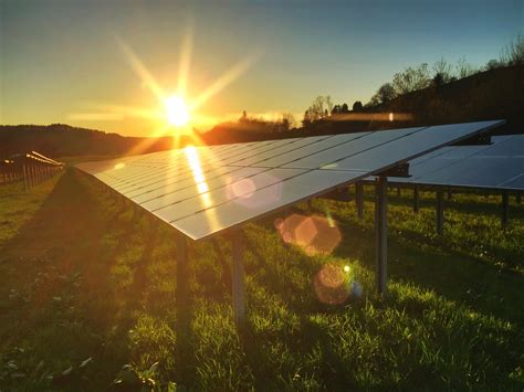 Solar Panels Go Green — Literally Heres Why Thats A Big Deal Solar