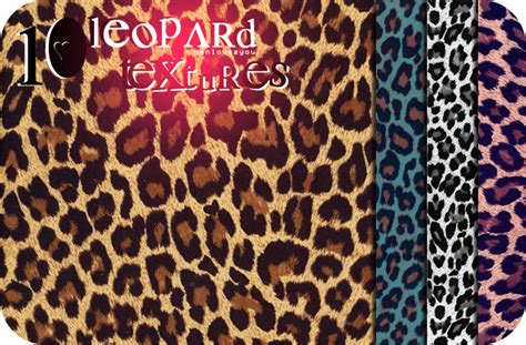 Leopard Textures By Benlovesyou On Deviantart