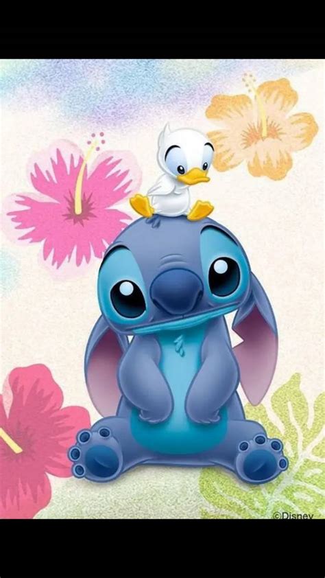 Fondos De Pantalla De Stitch Bebe Bmp Name