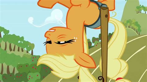 Applejack I Know What Youre Gonna Say But The Answer Is Still No