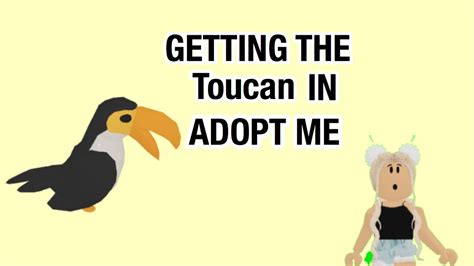 I Got The Toucan In Adopt Me Youtube