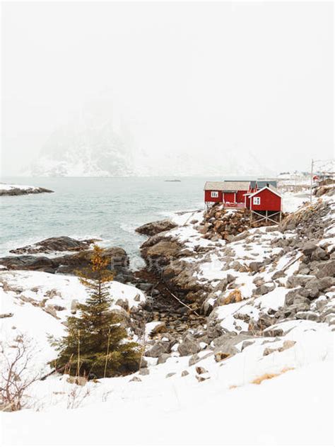 Red Cabins Located On Mountain Range Snowy Coast On Lofoten Islands