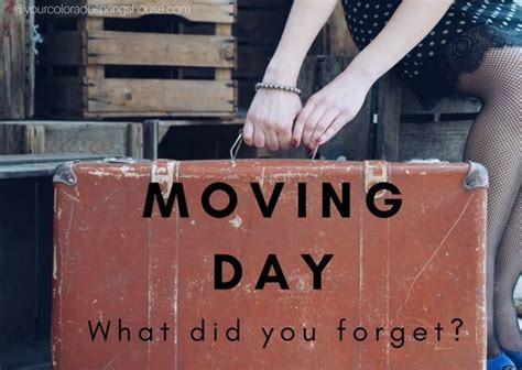 Things You Might Forget On Moving Day Colorado Real Estate