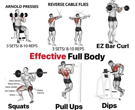 Full Body Weights Workout Routine Benefits Tips