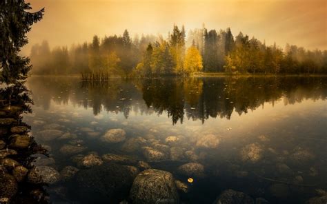 1025388 Trees Landscape Forest Fall Sunset Water