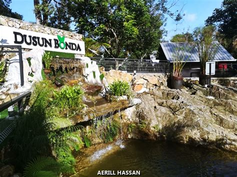 Apa yang menarik di bazar ramadan bandar baru batang kali #hmetro #metrotv www.hmetro.com.my. Review Dusun Bonda, Batang Kali, Selangor | Apa Yang ...