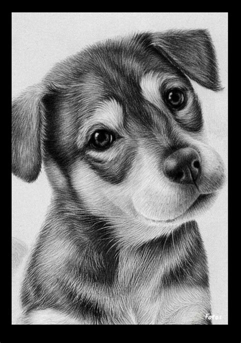 Pin By Ananya Gour On Art Drawings Cute Animal Drawings Dog Pencil
