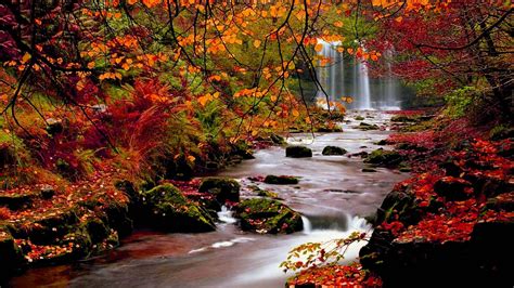 Download Autumn Season River Wallpaper