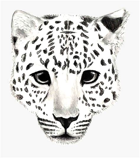 Easy Leopard Drawings