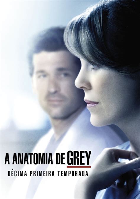 Anatomia De Grey Temporada Assista Epis Dios Online Streaming