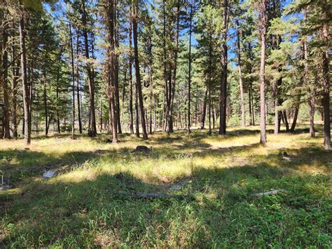 NHN Conifer Drive, Huson, MT 59846 | MLS: 30012308 | LandWatch