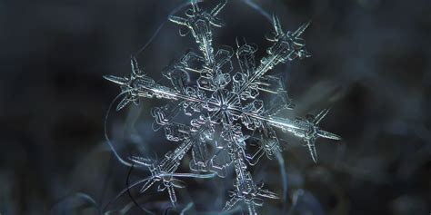 Unbelievable Close Up Photos Of Snowflakes Reveal A Side Of Winter You