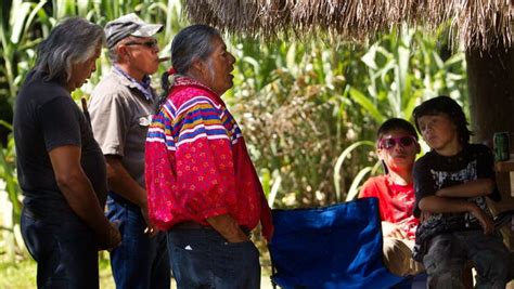 tribes in florida s everglades pay price of prosperity