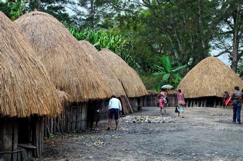 Penjelasan beserta gambarnya dalam artikel ini. Gambar Rumah Adat Aceh Untuk Mewarnai - Omong w
