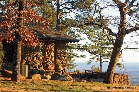 Choose from more than 19 properties, ideal house rentals for families, groups and couples. JOYFUL REFLECTIONS: Mt. Nebo, Arkansas 2013